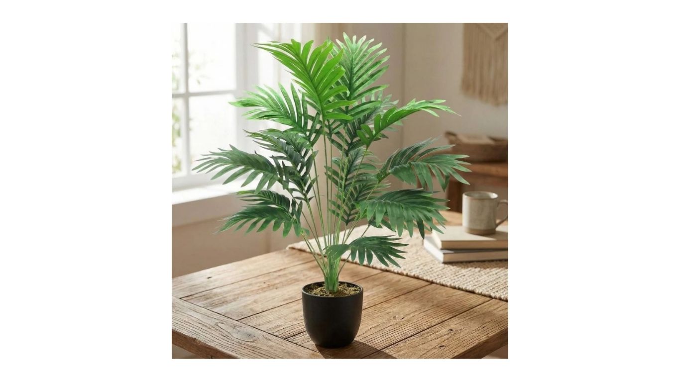Home Decorate Plants – Bring Nature & Style into Your Living Space