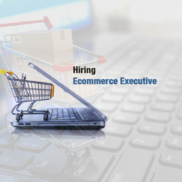 E Commerce Executive/ Manager