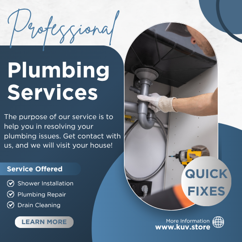 Professional Plumbing Services